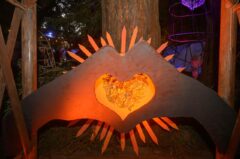 Photos by Michael Troutman (136/365)